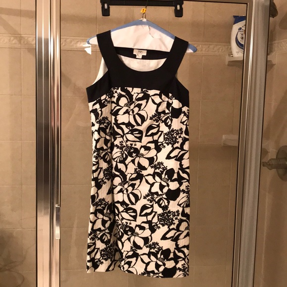 Loft black and white Dress - Picture 1 of 1